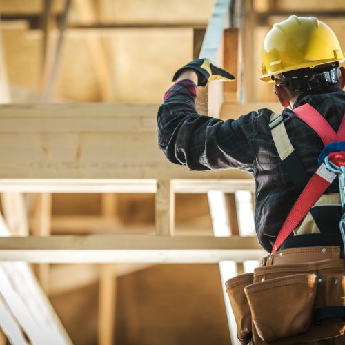 Wood Construction Worker Wood Construction Worker